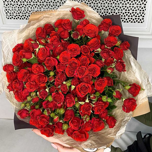 Букет из 51 красная кустовая роза 40 см (Кения) в бордовой пленке