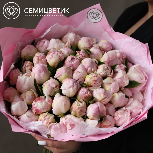 Букет из 51 нежно-розового пиона Gardenia Premium
