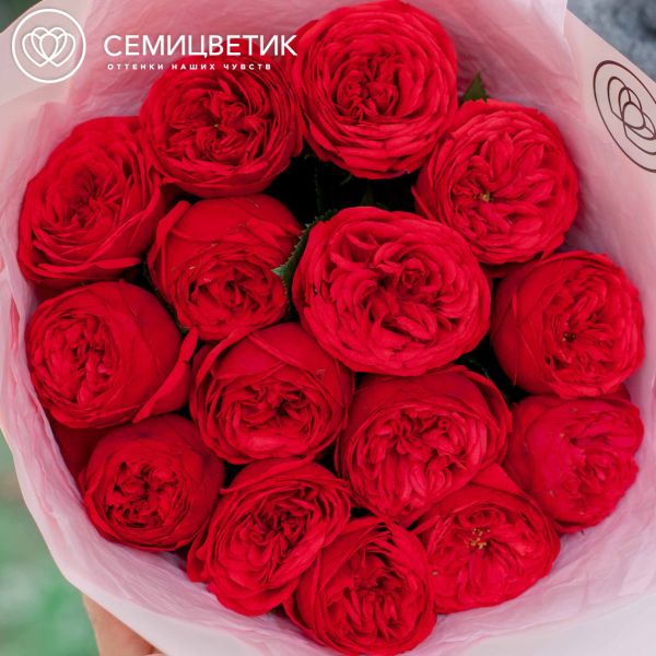 Букет из 15 красных пионовидных роз Red Piano 40 см