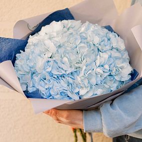 Букет из 7 голубых гортензий