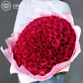 Букет из 151 малиновой розы 35-40 см (Кения) в розовой пленке
