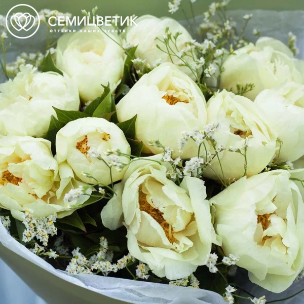 Букет из 7 лимонных пионов Lemon Chiffon Premium с лимониумом
