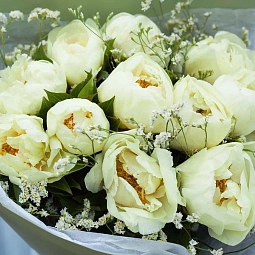 Букет из 7 лимонных пионов Lemon Chiffon Premium с лимониумом