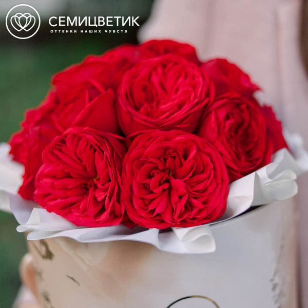 Букет в бежевой шляпной коробке Amour Mini из 19 красных пионовидных роз Red Piano