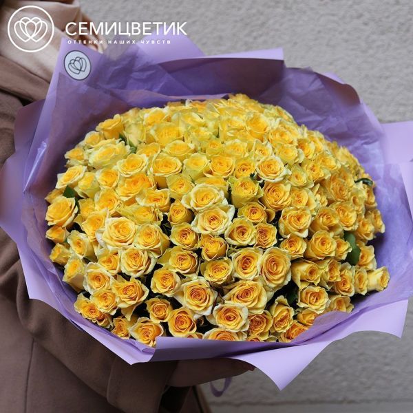 Букет из 151 желтой розы 35-40 см (Россия) в сиреневой пленке