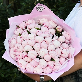 Букет из 51 розового пиона Standart в розовой пленке