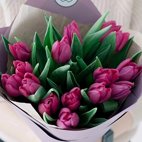 Мини-букет  из 15 малиновых тюльпанов в сиреневой пленке