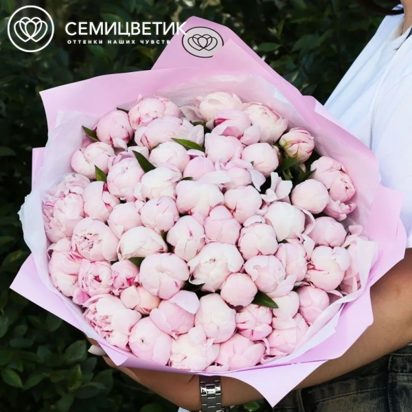 Букет из 51 розового пиона Standart в розовой пленке