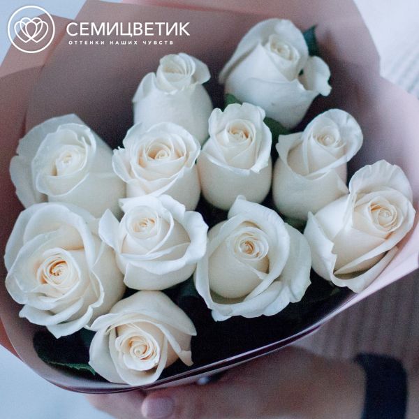 Букет из 11 белых роз Vendela 50 см (Эквадор) в кремовой пленке