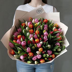 Букет из 101 тюльпана микс 40 см в кремовой пленке