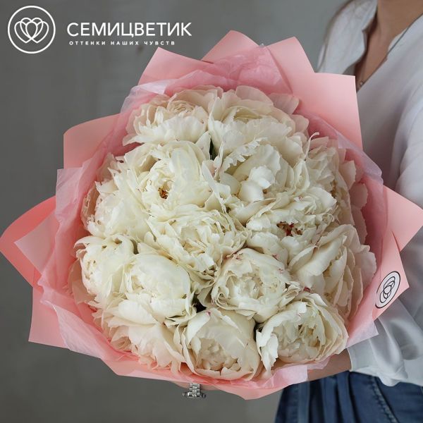 Букет из 15 белых пионов Kelway`s Glorious Premium в розовой упаковке