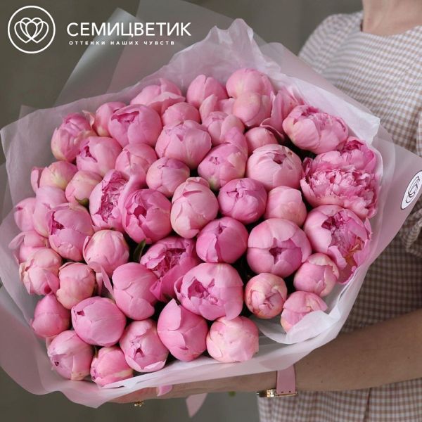 Букет из 51 нежно-розового пиона Angel Cheeks Premium в прозрачной упаковке