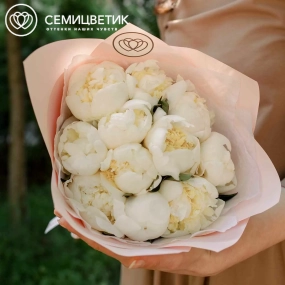 Букет из 11 белых пионов Premium в розовой пленке