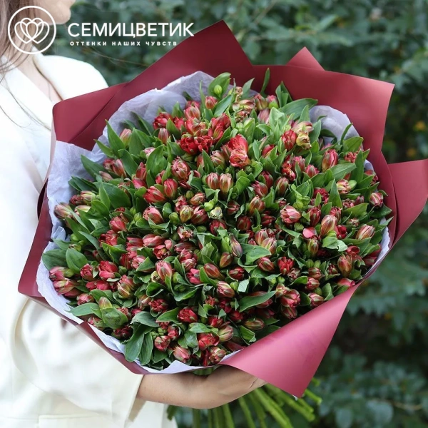 Букет из 51 красной альстромерии в бордовой пленке