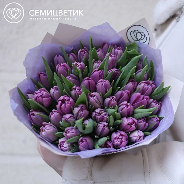 Букет из 51 сиреневого пионовидного тюльпана в кремовой упаковке