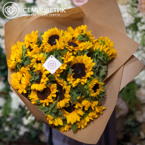 Букет из 25 подсолнухов в упаковке