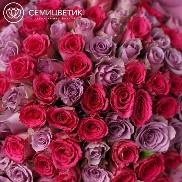 Букет из 101 розовой и сиреневой розы 35 см (Кения)