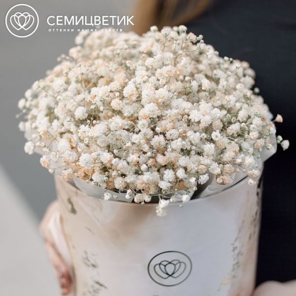 Букет в бежевой шляпной коробке Amour Mini из 7 бежевых гипсофил