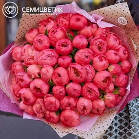 Букет из 51 кораллового пиона Coral Sunset Premium в упаковке