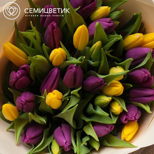 Букет из 35 желтых и фиолетовых тюльпанов
