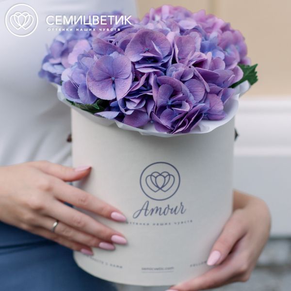 Букет в белой шляпной коробке Amour Mini из 3 сине-фиолетовых гортензий