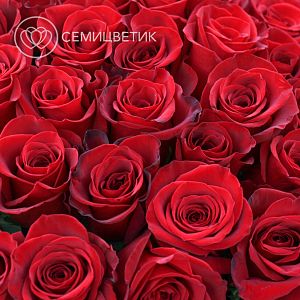 Букет из 3 красных роз Freedom 60 см (Эквадор)