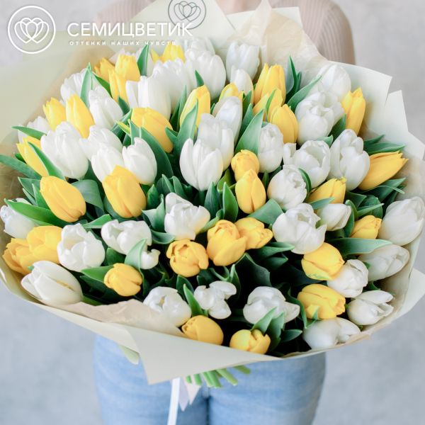 Букет из 75 желтых и белых тюльпанов 40 см