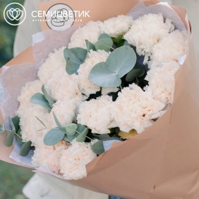 Букет из 15 кремовых гвоздик с эвкалиптом в кремовой пленке