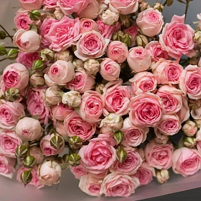 Букет из 15 кустовых пионовидных розовых роз 60 см (Россия) в прозрачной пленке