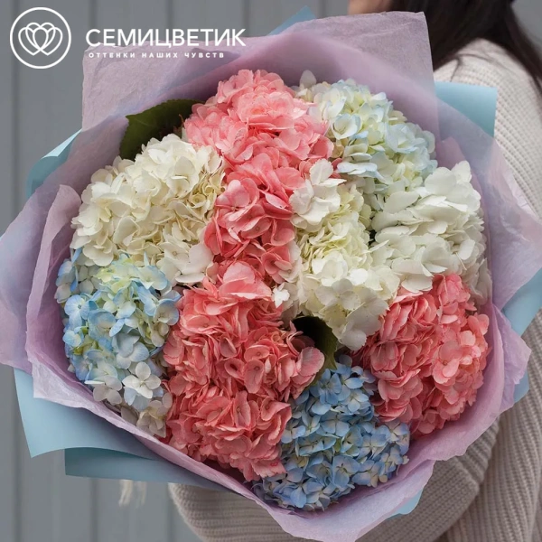 Букет из 9 гортензий нежный микс в голубой пленке