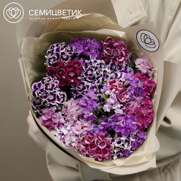 Букет из 25 турецких гвоздик микс