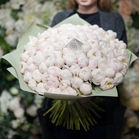Букет из 101 белого пиона Standart в зеленой пленке