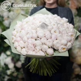 Букет из 101 белого пиона Standart в зеленой пленке