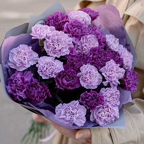 Монобукет  из 25 сиреневых (лунных) и фиолетовых гвоздик в голубой пленке