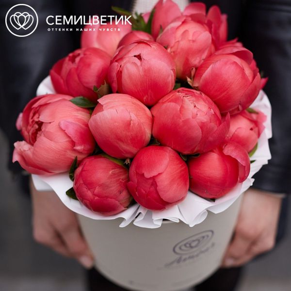 Букет в белой шляпной коробке Amour Mini из 15 коралловых пионов Coral Sunset Premium