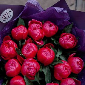 Букет из 15 коралловых пионов Coral Sunset Standart