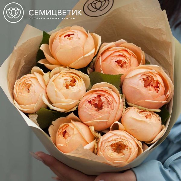 Букет из 9 кремовых пионовидных роз 60 см (Россия)