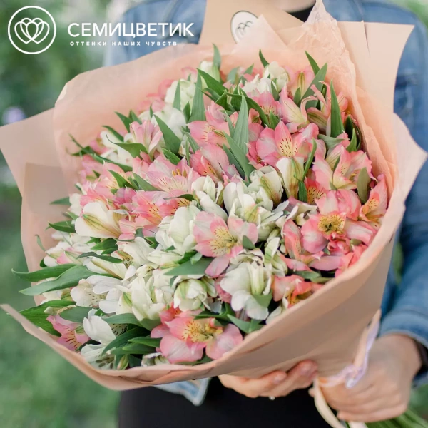 Букет из 35 белых и розовых альстромерий в кремовой пленке