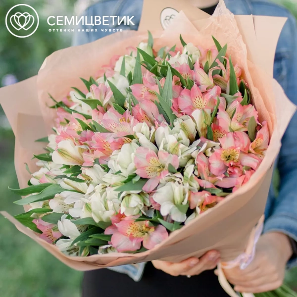 Букет из 35 белых и розовых альстромерий в кремовой пленке