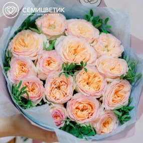 Букет из 15 персиковых пионовидных роз Flash Back 40 см с фисташкой в розовой пленке