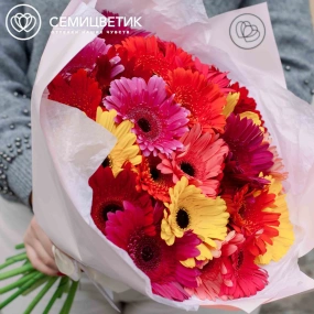 Букет из 25 гербер микс в розовой пленке