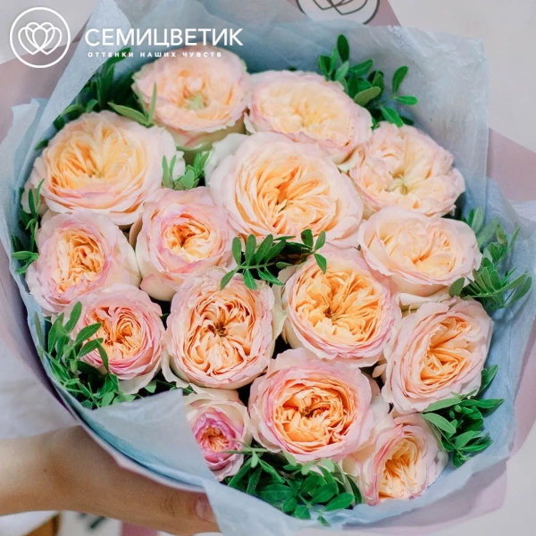 Букет из 15 персиковых пионовидных роз Flash Back 40 см с фисташкой в розовой пленке