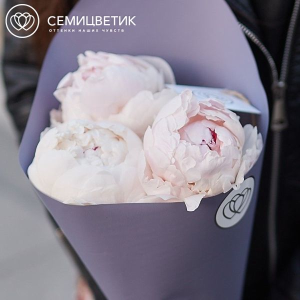 Букет из 3 нежно-розовых пионов Gardenia Premium.