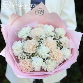 Букет из 15 кремовых и белых гвоздик с гипсофилой в розовой пленке
