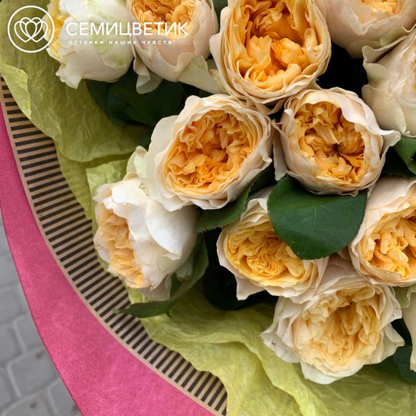 Букет из 25 кремовых пионовидных роз Peach Vuvuzela 40 см