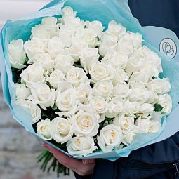 Букет из 51 белой розы 35-40 см (Россия) в голубой пленке