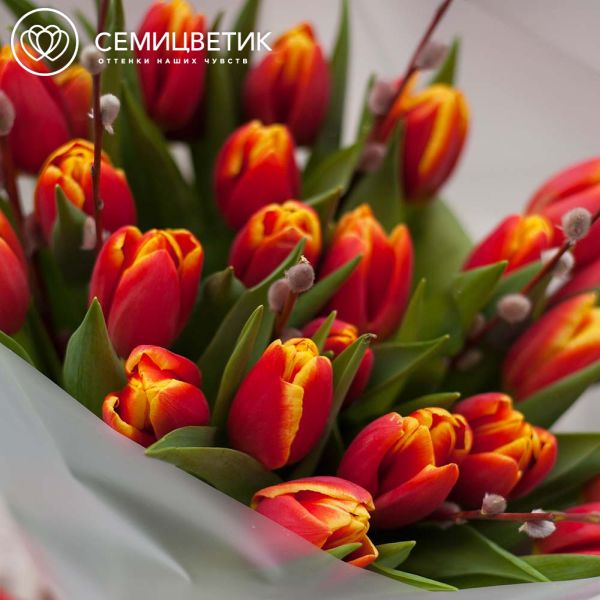 Букет из 25 красно-желтых тюльпанов 40 см с веточками вербы