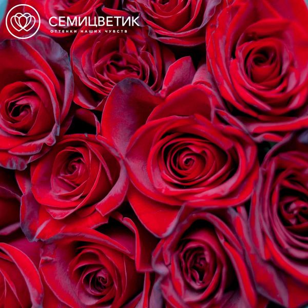 Букет из 15 красных с темной каймой роз Магия 80 см (Россия)