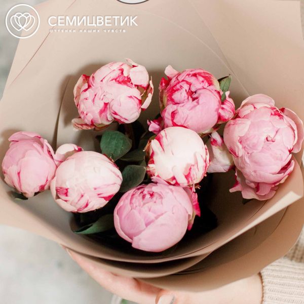 Букет из 7 розовых пионов Premium в кремовой пленке