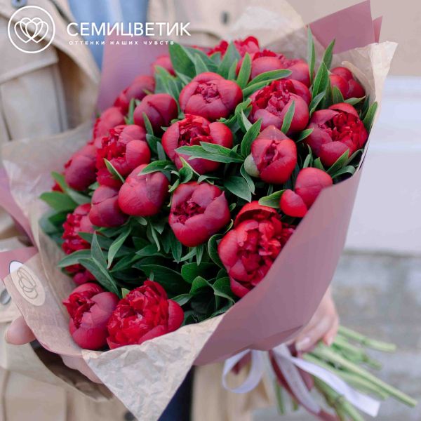 Букет из 25 бордовых пионов Standart